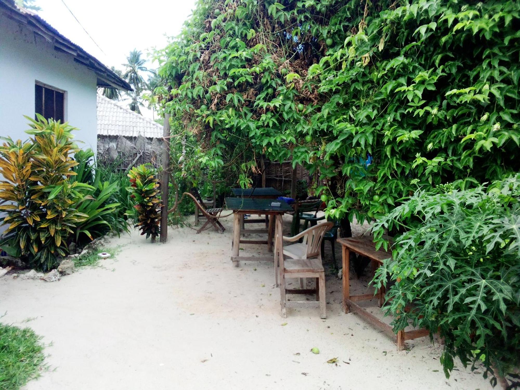 Moringe - * Jambiani (Zanzibar)